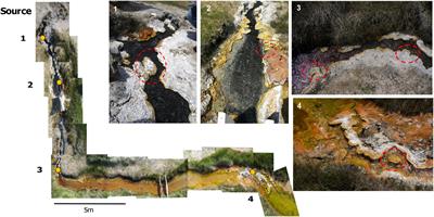 Microscale Biosignatures and Abiotic Mineral Authigenesis in Little Hot Creek, California